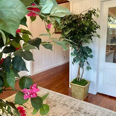 The Shopkeeper'S Cottage ~ Chic! Amador City Exterior photo