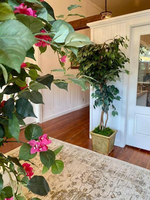 The Shopkeeper's ~ Chic! Apartment Amador City